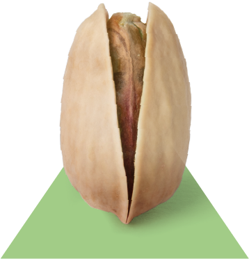 Asset 8 Asset 8